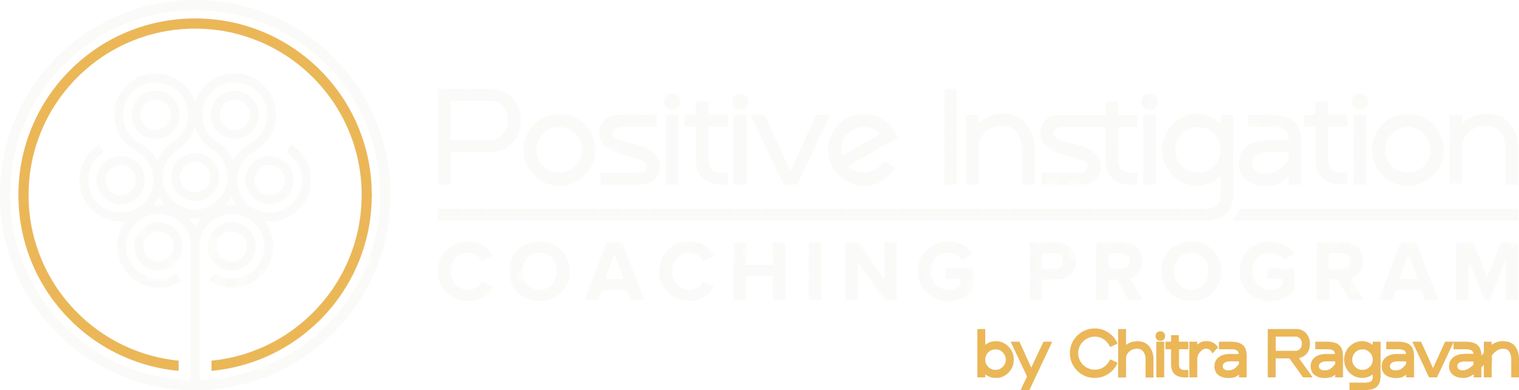 Positive Instigation Coaching Program by Chitra Ragavan
